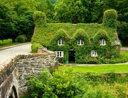 Jan 20, 2017 · nestled creekside, this woodland home's enchanting details and cozy comforts create a magical setting. 22 Peaceful Cottage Designs That Seem Like Taken From A Fairy Tale World