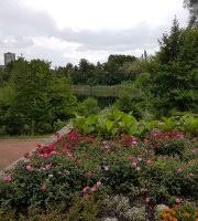 Nicht ohne grund ist das telefonbuch die nummer 1. Botanischer Garten Frankfurt Oder 2020 All You Need To Know Before You Go With Photos Tripadvisor