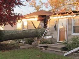 Shadee lady interior design and custom window treatments, paulo landscaping and tree removal, llc, skj tree removal, castillo tree and lawn service, llc, al's tree and shrub care. 24 7 Emergency Tree Services Danbury Ct Barts Tree Service