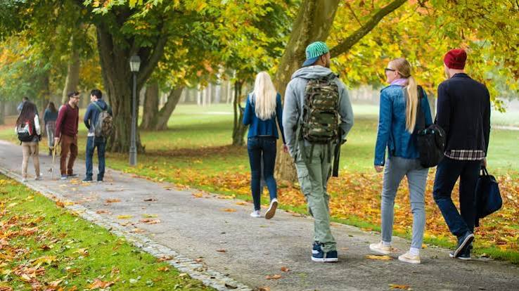Ask the Experts: Campus Tour and College Visit - Peterson's