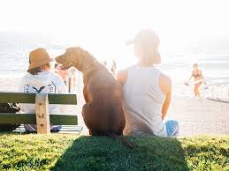 Financial advisers provide clients with specialist advice on how to manage their money. Independent Financial Advisor Parramatta Financial Planner Parramatta