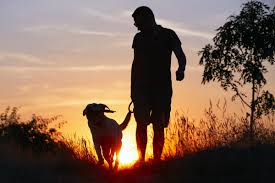 The joint chiropractic, huntsville, al is located at the corner of airport road and whitesburg drive in the village on whitesburg shopping center, near fresh market and bonefish grill, beside zoe's kitchen. La Palma Veterinary Hospital Vet In Anaheim Ca