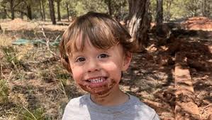 Fundraiser for Jaime Phippen by Kelly Stafford : In Memory of Phoenix:  Support for Jaime and Weston