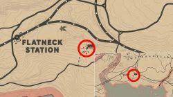 Red Dead Redemption 2 Harmonica Location Sadie Errand Boy Trophy Red Dead Redemption Red Dead Redemption Ii Red Dead Redemption 2