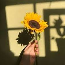 The original free picture resize and crop tool since 2005! Aesthetic 300x300 Yellow Largest Wallpaper Portal