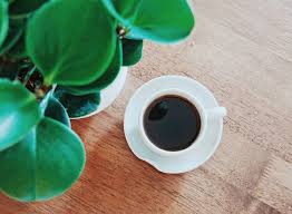 To date, folks testing dr. Ways Coffee Can Help You Lose Weight Says Science Eat This Not That