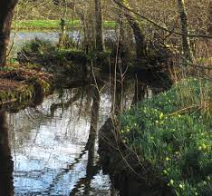 He is sometimes referred to as j.p. Jac P Thijsse Park