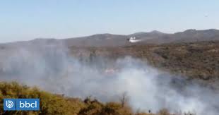 Quilpué y el belloto ☀️. Retiran Alerta Roja De Incendio Forestal En Quilpue Fue Parcialmente Controlado Nacional Biobiochile