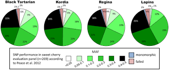 Enjoy sweet, juicy cherries from your own backyard with willis orchards. Construction And Comparative Analyses Of Highly Dense Linkage Maps Of Two Sweet Cherry Intra Specific Progenies Of Commercial Cultivars