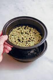 I keep my net carb count under 20 grams per day (i go by net carb, not gross carb, because the fiber is not soluble and cannot contribute to your actual carb count anyway!) Mung Bean Sprouts How To Grow Your Own At Homethe Art Of Doing Stuff