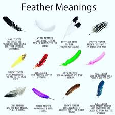 Feather Meanings Feathers Angels Signs Meanings