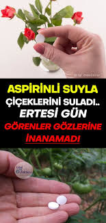 Aspirinli Suyla Cicekleri Sulayinca Degisimi Hayran Birakiyor Flowers Spring Tutorial Water Flowers
