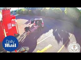 You have to escape granny and grandpa.you have five days. Top 9 Surveillance Videos Of The Week Women Caught Dressing As Grannies To Receive Covid Vaccine Security Sales Integration