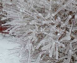 фотографии снега и льда в природе на улицах города Krasivyj Sneg 44 Foto Led Inej Kartinki Video