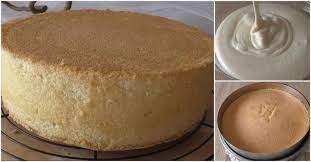 sponge cake cake used in cake making and all the tricks cake making sponge tricks kuchen rezepte biskuitkuchen kuchen