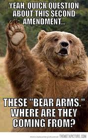 Quick Question The Meta Picture Animals Funny Animals Cute Animals