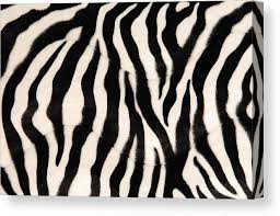 Enter the windows start menu and open your computer's control panel. Black And White Zebra Print Background Canvas Print Canvas Art By Kosst