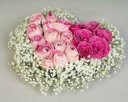 April 20th aka 4:20 celebration with marijuana in a red valentines day heart shaped dish. Heart Shaped Pink And White Roses And Baby S Breath Arrangement Roses Hd Wallpaper Wallpaperbetter