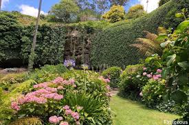 How to choose bushes for landscaping. 30 Best Types Of Shrubs And Bushes To Grow In Your Garden Florgeous