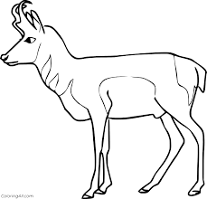 9,896 likes · 108 talking about this. Simple Walking Pronghorn Coloring Page Coloringall