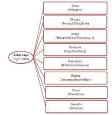 yoga the funadamentals the meaning origin principles