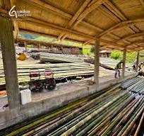 Premium quality Guadua Bamboo® Poles in production.