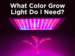 Do you need glasses for led grow lights? What Color Led Grow Light Do I Need 1000bulbs Com Blog