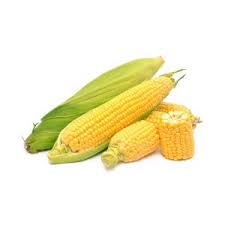 Ratings by 67 ges manufacturing services (m) sdn bhd employees. Non Cut Frozen Whole Kernel Sweet Corn Id 9124421 Buy Malaysia Sweet Corn Frozen Food Maize Ec21