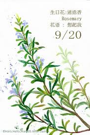 每日一花9 20 haru hello suluboya cicek resim