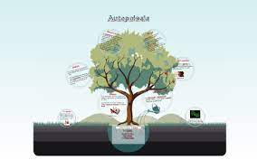 Autopoiesis abstract importance of interactions conclusion autopoiesis was first defined by two chilean scientists named humberto maturana and francisco varela (1974). Autopoiesis By Oscar Nic