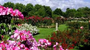 Rose Garden Beautiful Gardens Rose Garden Beautiful Roses