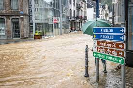 Belgium is thus the only clear example of a transfer of a part of the foreign affairs competences to federated units.) 3f Hlv4lokkgim