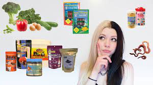 How To Feed Goldfish Properly Youtube