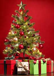 Štědrý den je katolický církevní svátek a připomíná předvečer narození ježíše krista. Stedry Den Pranostiky A Zvyky Rodinna Firma Pleva