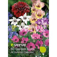 Summer flowering bulbs to plant in spring. All Summer Flower Bulb Diy At B Q