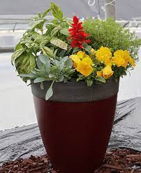 Simply by positioning certain plants together, you can. Bringing Vegetables Herbs And Flowers Together In One Container Garden Beautifully