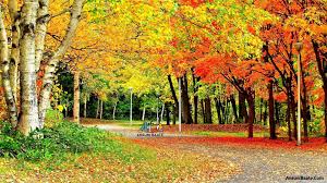 whatsapp hd nature wallpaper download blogs nature wallpaper whatsapp hd nature wallpaper download