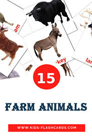 Pin By Milena Bogat On Divje Zivali In 2021 Animal Flashcards Farm Animals Flashcards For Kids