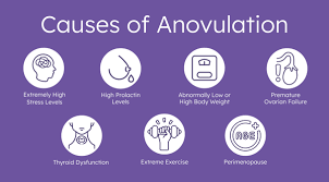 Image result for Anovulation