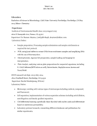 Resume Temp