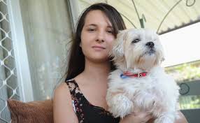 We focus on smaller shih tzus, also known as imperials. Have You Seen Maltese Shih Tzu Puppy Willow The Courier Mail