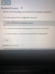 The transgenic gamete is used for in vitro fertilization. Solved Save Question 8 2 Points D Which Of The Followin Chegg Com