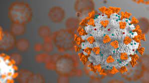 Severe acute respiratory syndrome (sars) emerged in china in 2002 and spread to other countries before brought under control. Ftd Sars Cov 2 Assay1