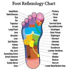 Clepssyfit Acupressure Slimming Insoles Reflexology Chart Reflexology Foot Chart Foot Reflexology