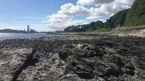 Ballymena united carrick rangers cliftonville coleraine crusaders dungannon swifts glenavon glentoran larne linfield portadown warrenpoint town. Larne S Jurassic Coastline Waterloo Bay Larne Discover Northern Ireland