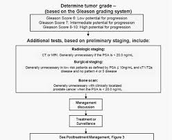 A score of 7 suggests and intermediate risk for aggressive cancer. Psa Testing For The Pretreatment Staging And Posttreatment Management Of Prostate Cancer American Urological Association