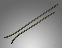 Image result for Cassia thyrsoidea