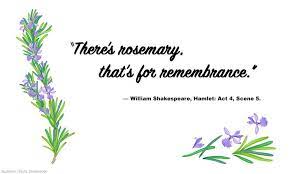 Improve Your Memory With Rosemary The Herb Of Remembrance Http Reset Me Story Improve Your Memory With Rosemary The He Remembrance Remembrance Quotes Poems