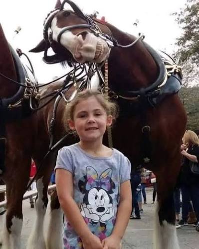 Viral photo of girl and grinning Clydesdale horse