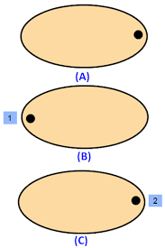 The pendulum has a pattern of motion which depends on its location: Order Of Rotational Symmetry Of A Square